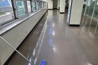 세방리튬배터리 3,000평 전도성타일