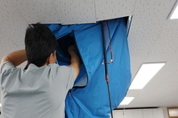 담양군청 130대
